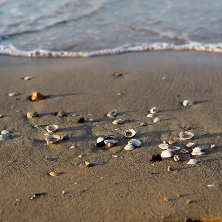 Apartment Modern Front *