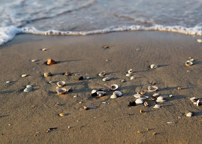 Apartman Modern Front *